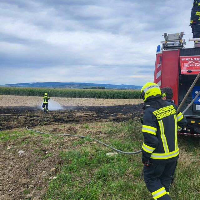 Am Mittwoch Vormittag wurde die Feuerwehr Zemendorf zu einem Flurbrand alarmiert | Foto: Feuerwehr Zemendorf