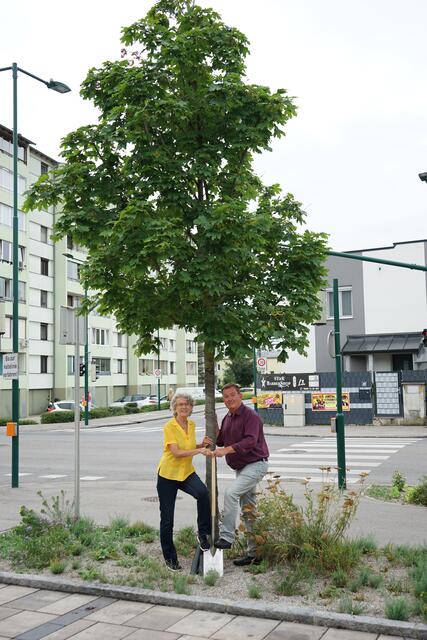 gfGRin Irene Orchard und Bürgermeister Herbert Janschka möchten mit neuen Baumpflanzungen in Wiener Neudorf Kühlung an heißen Tagen schaffen.  | Foto: Marktgemeinde Wiener Neudorf