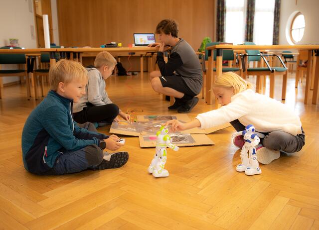 Foto: Foto Steinfisch