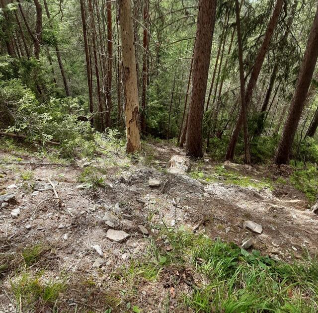 Der 83-Jährige konnte mittels Hubschrauber und Tau aus dem steilen Gelände geborgen werden. | Foto: ZOOM.TIROL