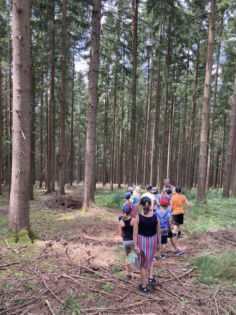 Foto: Roland Wurzinger