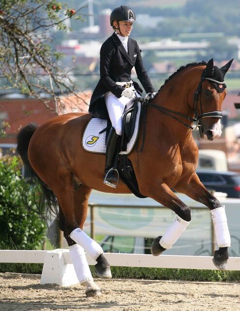 Foto: Hartberger Reitverein "RC Dressage Group Styria"