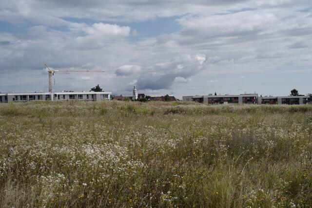 Wohnungsbau an Neunkirchens Peripherie. | Foto: Santrucek