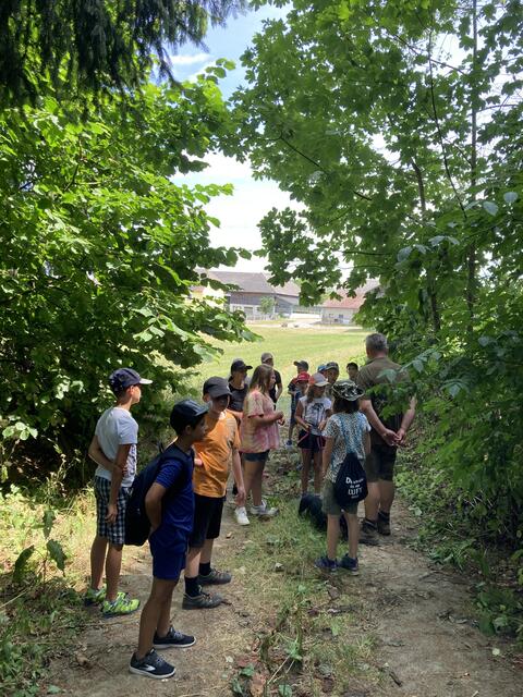 Foto: Roland Wurzinger