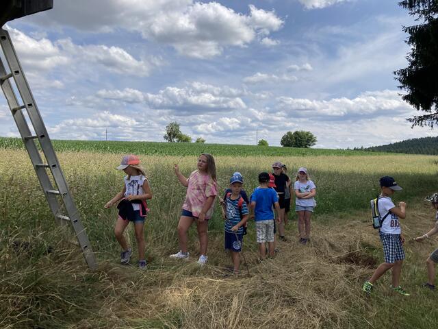 Foto: Roland Wurzinger