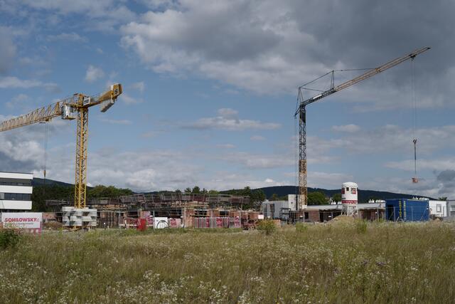 Das Projekt Gartenstadt in Neunkirchen wächst weiter. | Foto: Santrucek