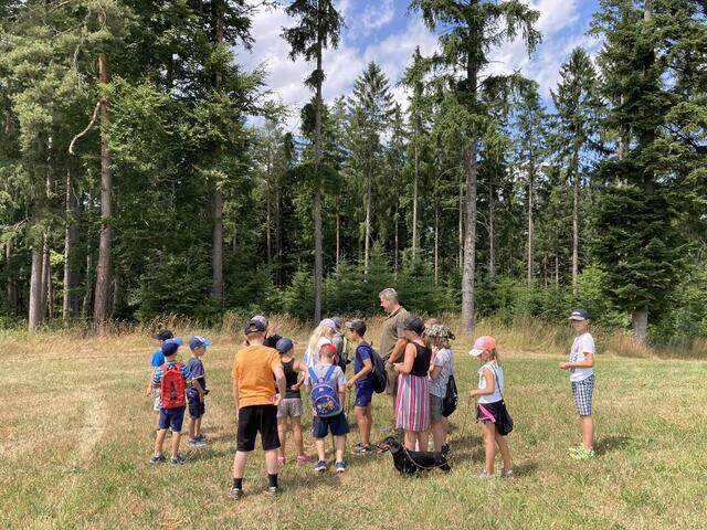 Foto: Roland Wurzinger