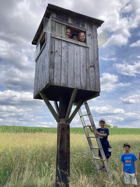 Foto: Roland Wurzinger