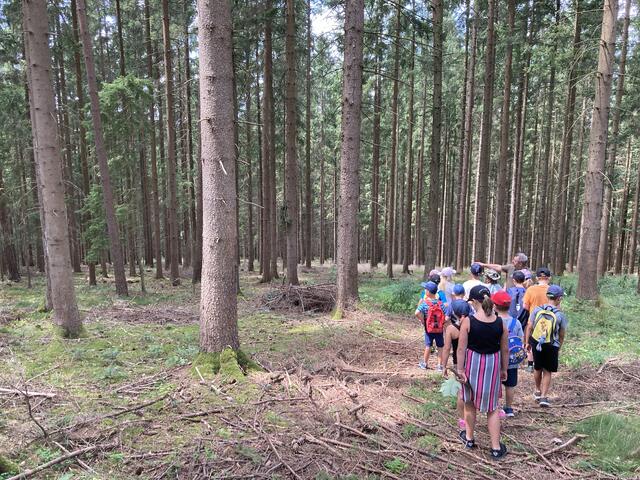 Foto: Roland Wurzinger