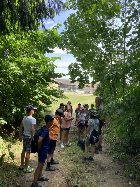 Foto: Roland Wurzinger