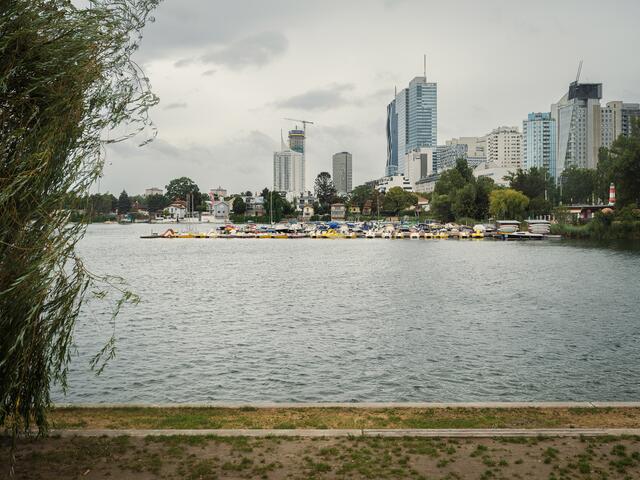 Die Umweltorganisation Greenpeace nahm österreichische Badegewässer, darunter die Alte Donau, unter die Lupe und untersuchte diese auf Plastikmüll. | Foto: Greenpeace/ Mitja Kobal