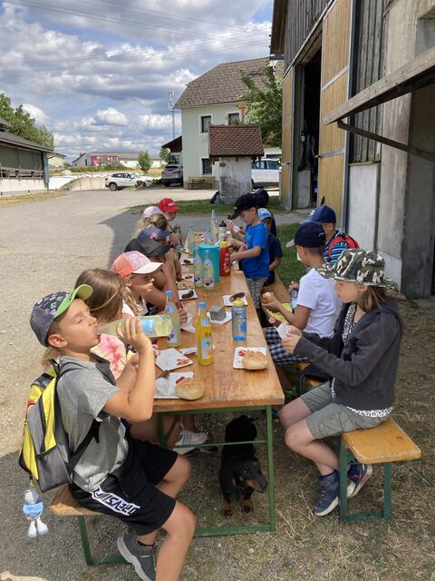 Foto: Roland Wurzinger