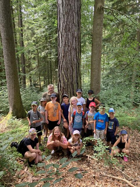 Foto: Roland Wurzinger