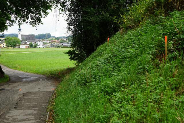An diesem Stück wird die Straße etwas vom Bach weggerückt. | Foto: Willi Frickh