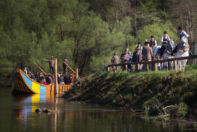 Im historischen Gegenzug werden die "Trauner"-Schiffe mit Pferden stromaufwärts der Traun gezogen. | Foto: Schifferverein Stadl-Paura