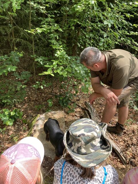 Foto: Roland Wurzinger