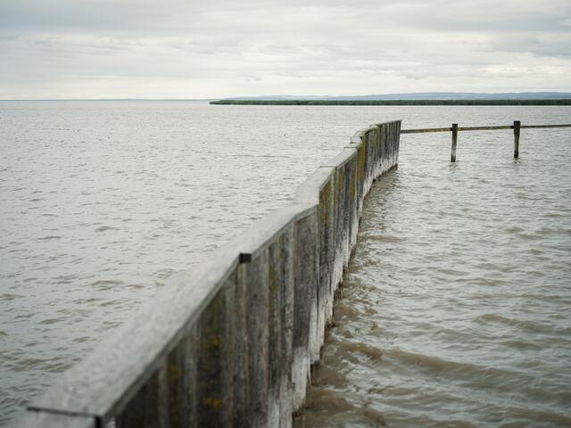 Mikroplastik belastet auch die Seen im Burgenland. Der Neusiedler See und der Neufelder See wurden von Greenpeace ebenfalls untersucht.  | Foto: Greenpeace/Mitja Kolba