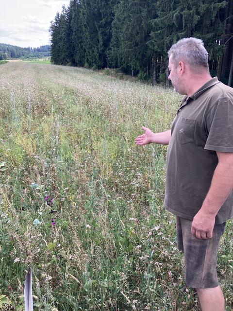 Foto: Roland Wurzinger