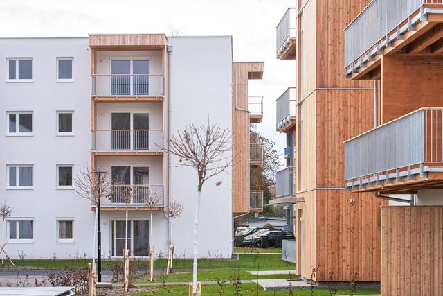 Langfristig spare man laut Pointinger mit Holz Geld. | Foto: Pointinger Bau GmbH