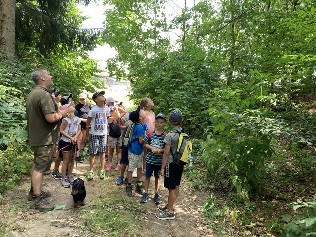 Foto: Roland Wurzinger