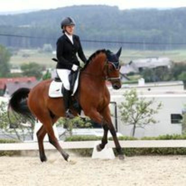 Foto: Hartberger Reitverein "RC Dressage Group Styria"