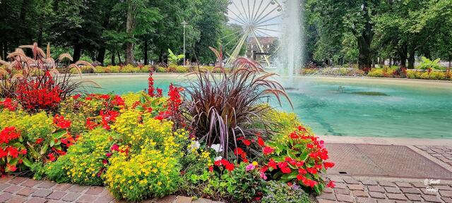 ....die Gärtner haben alles wieder sehr schön angelegt ....