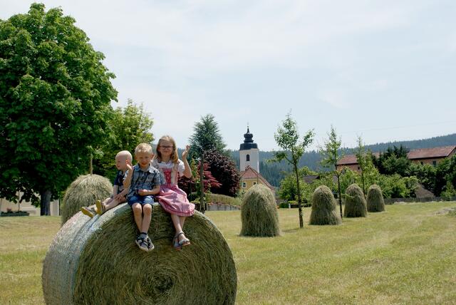 Kommt am 20. August zum Kreuzwirt in der Gemeinde Miesenbach! | Foto: LAG