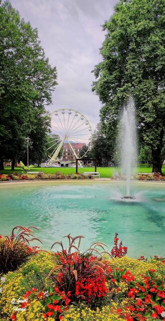 .......ein kleiner Durchblick .....