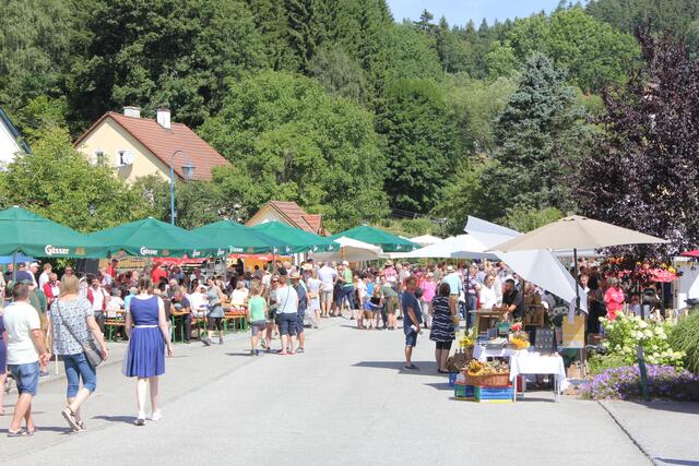 Foto: Walter Kellner