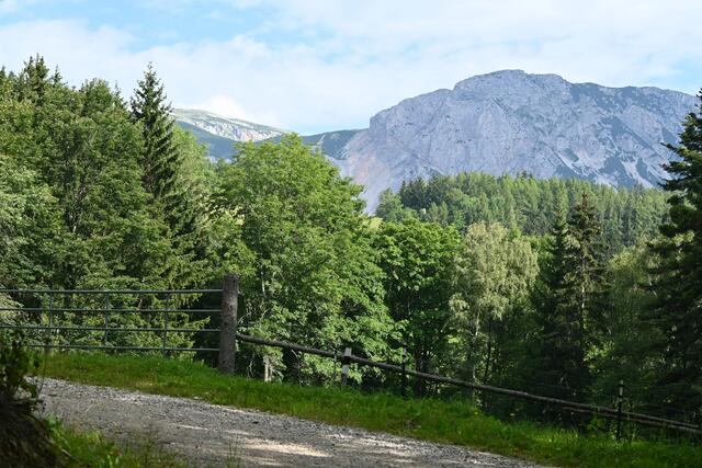 Nach einer S-Kurve kommt man aus dem Graben herauf, Blick zur Rax