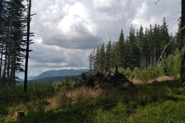 Blick in die Steiermark