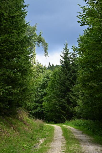 Schwarze Wolken ziehen auf