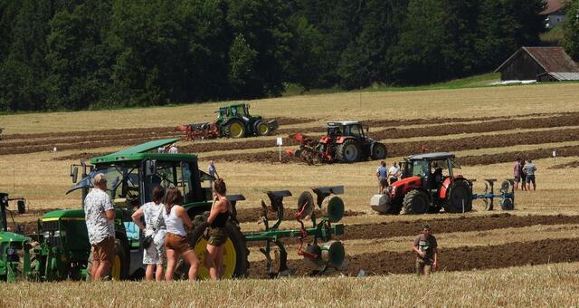 Foto: geh – Gerhard Hütmeyer