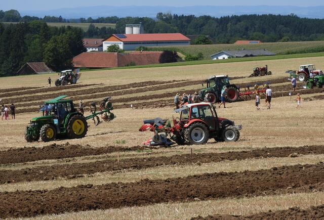 Foto: geh – Gerhard Hütmeyer