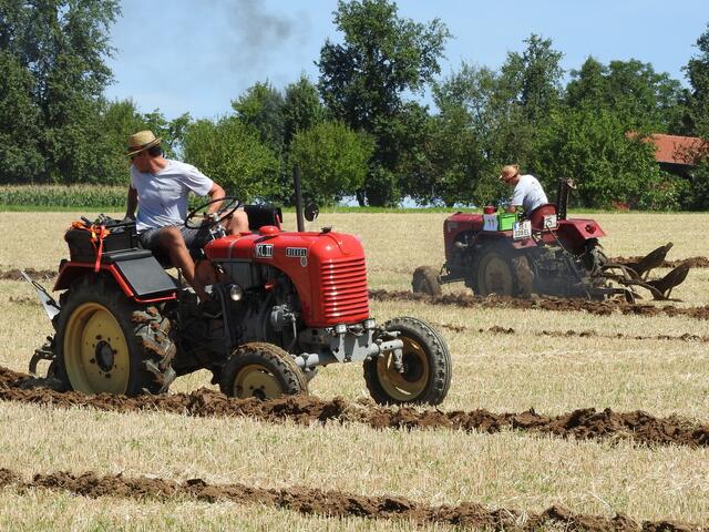 Foto: geh – Gerhard Hütmeyer