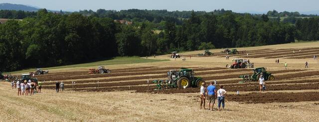 Foto: geh – Gerhard Hütmeyer