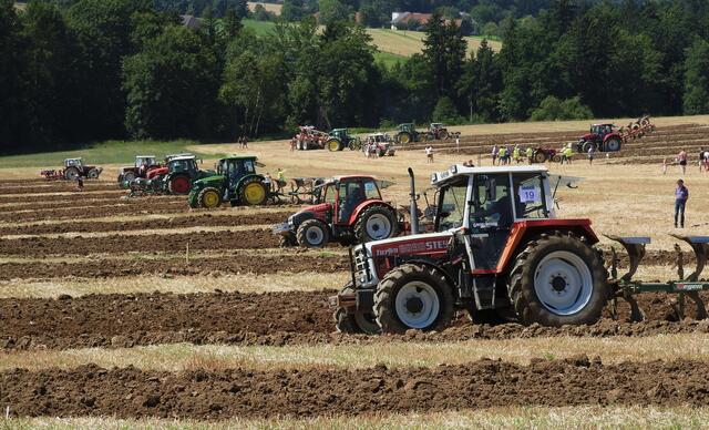 Foto: geh – Gerhard Hütmeyer