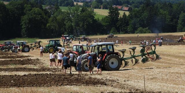 Foto: geh – Gerhard Hütmeyer