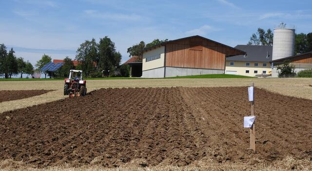 Foto: geh – Gerhard Hütmeyer