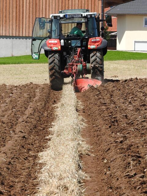 Foto: geh – Gerhard Hütmeyer