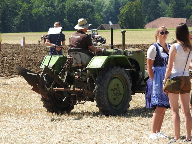 Foto: geh – Gerhard Hütmeyer