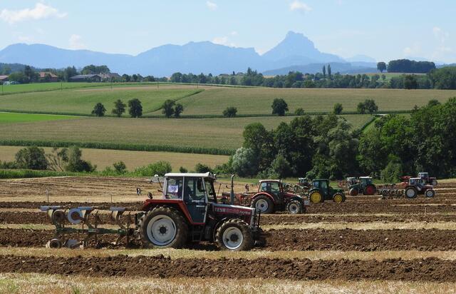 Foto: geh – Gerhard Hütmeyer