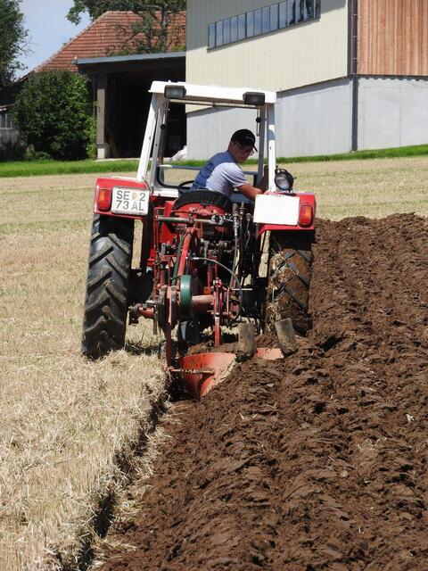 Foto: geh – Gerhard Hütmeyer