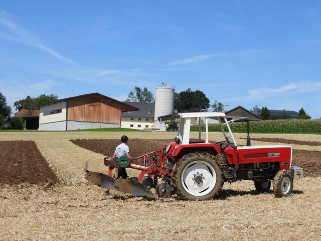 Foto: geh – Gerhard Hütmeyer