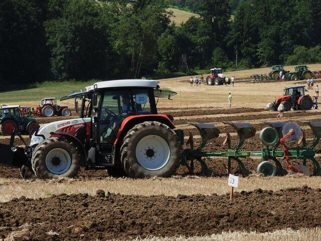 Foto: geh – Gerhard Hütmeyer