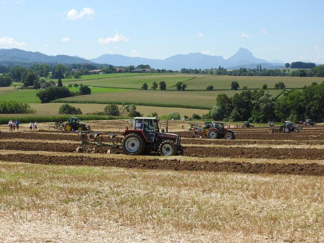 Foto: geh – Gerhard Hütmeyer