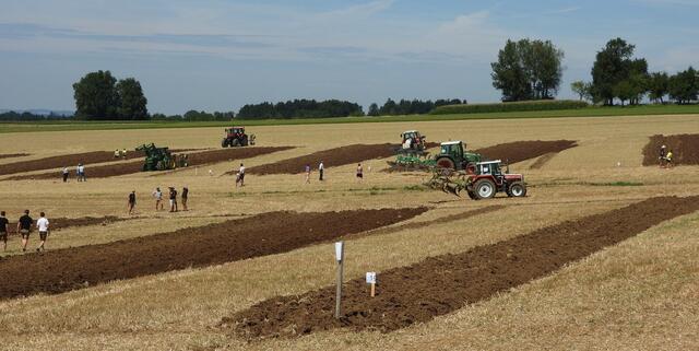 Foto: geh – Gerhard Hütmeyer