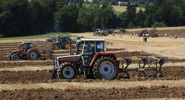 Foto: geh – Gerhard Hütmeyer