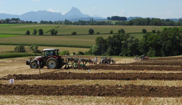 Foto: geh – Gerhard Hütmeyer