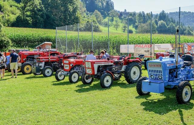 Foto: Gerhard Pulsinger